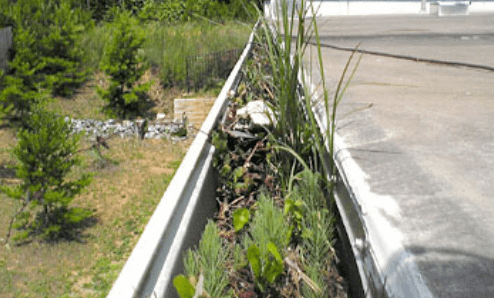 Roof and Gutter Cleaning Lacey WA Roof and Gutter Cleaning Lacey WA