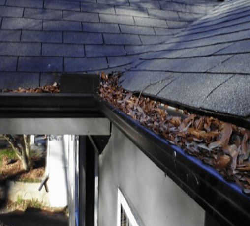 roof-cleaning-olympia roof cleaning olympia